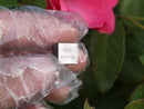 99.9% High Purity Samarium Sm Metal Carved Element Periodic Table 10mm Cube