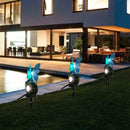 RGB+White LED Outdoor Flower Fairy Solar Lawn Lamp Courtyard Garden Decor Lights