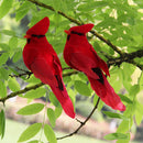 Artificial Red Clip-on Feathered Birds Christmas Ornaments Decor X12