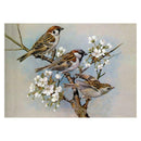 Round Diamond Painting DIY Magpie Flowers Embroidery Cross Stitch Kit Decor
