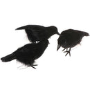 Simulate Raven Feather Artificial Crow Prop Halloween Bird Realistic Pa OZ