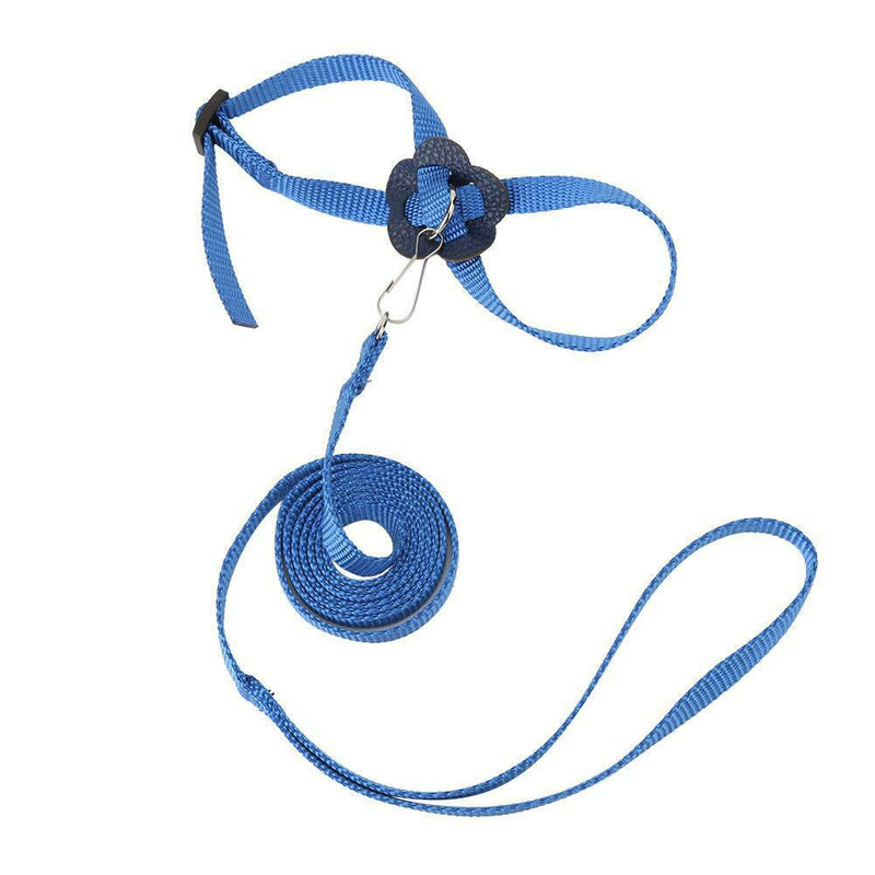 Parrot Leash Adjustable Harness Bird Anti Fly Outdoor Training Rope (Blue)