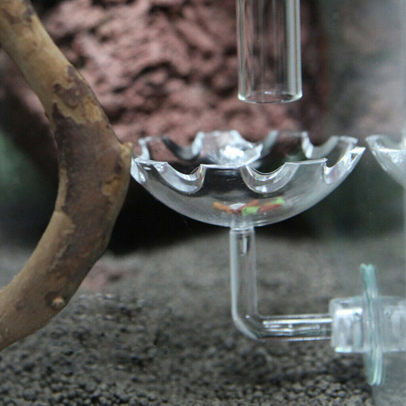 Aquarium Crystal Clear Acrylic Red Shrimp Snails Feeding Dish Food Bowl -Flower