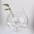 5xFlower Plant Hanging Clear Glass Vase Bottle Pot Wedding Garden Ball Decor