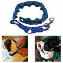 Pro Don Sullivan Perfect Dog Command Training Collar Prong Pets Choke