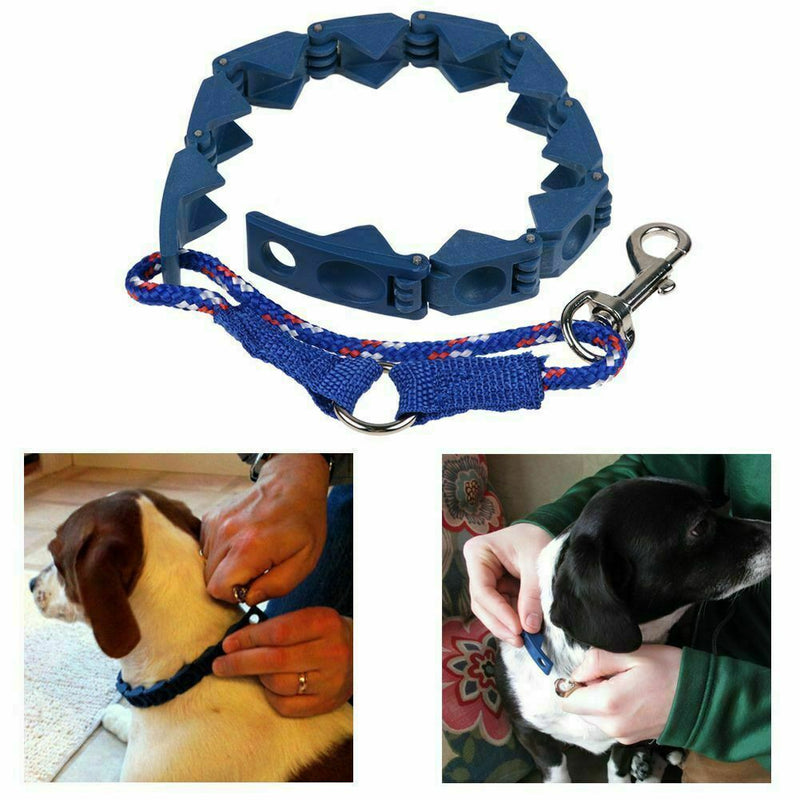 Pro Don Sullivan Perfect Dog Command Training Collar Prong Pets Choke
