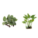 2Pieces Reptile Plants Aquarium Simulation Water