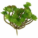 Succulent Plant Artificial Decoration for Home Green G4G7