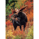 5D DIY Full Drill Diamond Painting Cross Stitch Embroidery (Animal-W166)