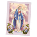 DIY 5D Diamond Painting Embroidery Cross Crafts Stitch Decor Virgin Mary