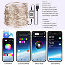 USB Bluetooth App Control 100 LED String Light Christmas Decoration (10m)