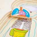 Multi-Layer Wooden Human Puzzles Human Body Structure Toys Intellectual Woo