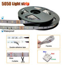 LED Light Strip 5050 Tape Lights LED Strip Lights with Remote for Home Light Nw