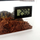 Aquarium Reptile Hatchery Breeding Box Turtle Lizard Spider Terrarium White