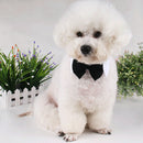 Fashion Adjustable Adorable Cotton Dogs Cat Pet Tie Necktie Collar Bowties