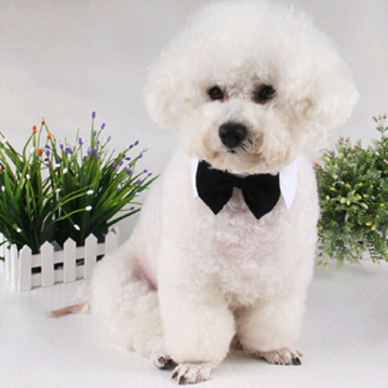 Fashion Adjustable Adorable Cotton Dogs Cat Pet Tie Necktie Collar Bowties