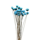 30Pcs Natural Daisy Beautiful Daisy Preserved Flowers Dried Flowers Everlas K3B3