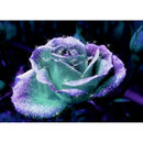 Flower 5D DIY Diamond Painting Full Drill Cross Stitch Room Decor (LD271)