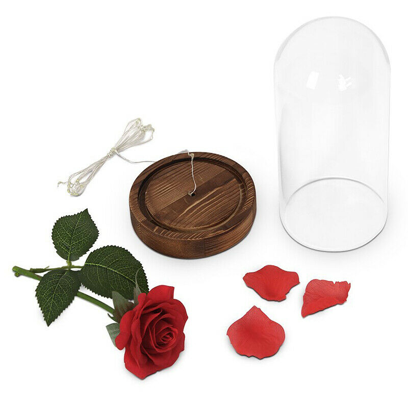 Eternal Rose Flower Red Silk Rose and LED Light with Fallen Petals in Glass K7T8