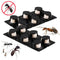 6Pcs/Lot Ant Agent Ant Killing Powder Bait Ants Repellent Repeller Trap Kil