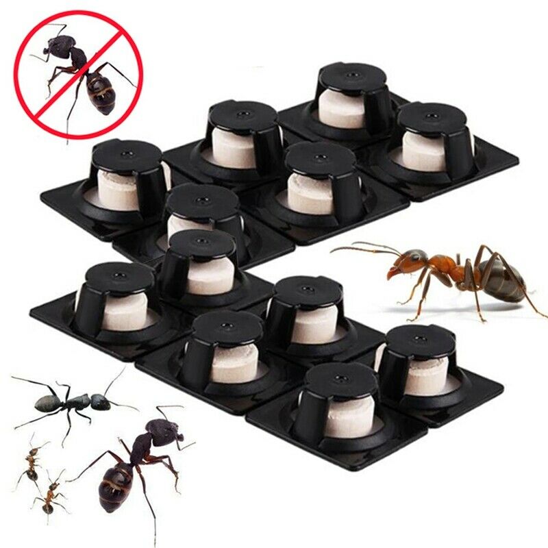 6Pcs/Lot Ant Agent Ant Killing Powder Bait Ants Repellent Repeller Trap Kil