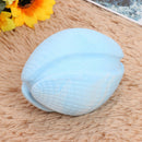 Pet Rugby Shape Chew Toys Dog Bite Tooth Clean Interactive Balls (Blue) A