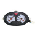 Scooter Speedometer Gas Instrument Panel Assembly for B05, B08 style scooter