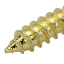 10pcs Permium Golden Screws fit Electric Guitar Pickguard Parts Accessories