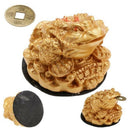 4 Pieces Feng Shui Money Toad Charm Wealth Attracting Frog Decor  Gift