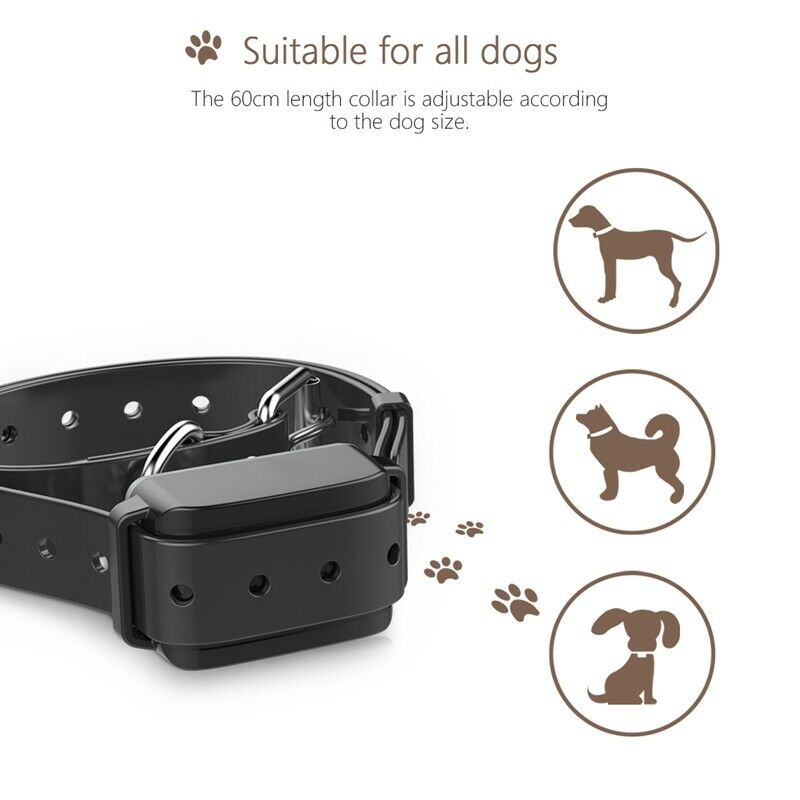 Dog Training Collar Rechargeable Shock Collar for Small To Large Dogs with