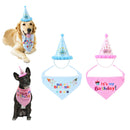4xPet Birthday Cat Dog Headwear Cap Hat Party Costume Pet Accessory 2 Colors