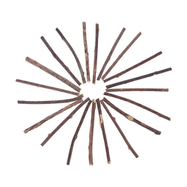 50pcs Natural Fruit Matatabi Cat Snacks Sticks Catnip Pet Cat Molar Rods A#S