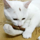 25x Pet Cat Snacks Stick Cleaning Teeth Natural Catnip Molar Toothpaste Sticks