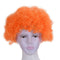Halloween Men Women Orange Curly Afro Circus Clown Wig K1K4