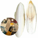 1 Bag Cuttlefish Cuttle Fish Bone Parrotts Birds Reptiles Tortoise Food F D K0C1