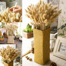 60Pcs Natural Rabbit Dog Tail Grass Bouquets Dried Flowers Wedding Decor Set #
