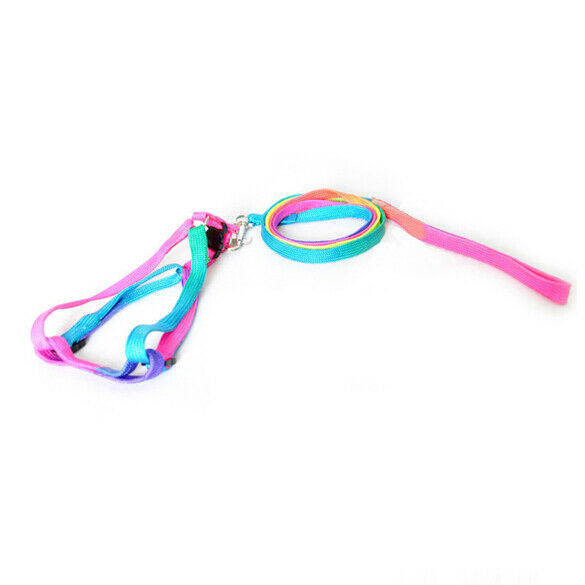 Strengthen Colorful Pets Puppy Lead Harness Leash Traction Rope Nylon