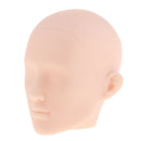 1/6 Normal Skin Tone Bold Headsculpt Male