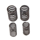 KibbleWhite Precision Intake Only Stainless Conversion Valve/spring kit