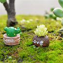Moss Micro Landscape Ornaments Love Pot Plant Mix Size Fairy Garden DecorCraftLJ