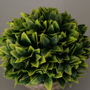 Plastic Artificial Potted Plants Green Grass -13cm / 5.12''(Height)-Green