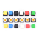 20PCS tactile push button switch momentary micro switch button + tact cap BX