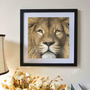 5D Lion Diamond Painting Embroidery DIY Cross Stitch Craft Home Decor