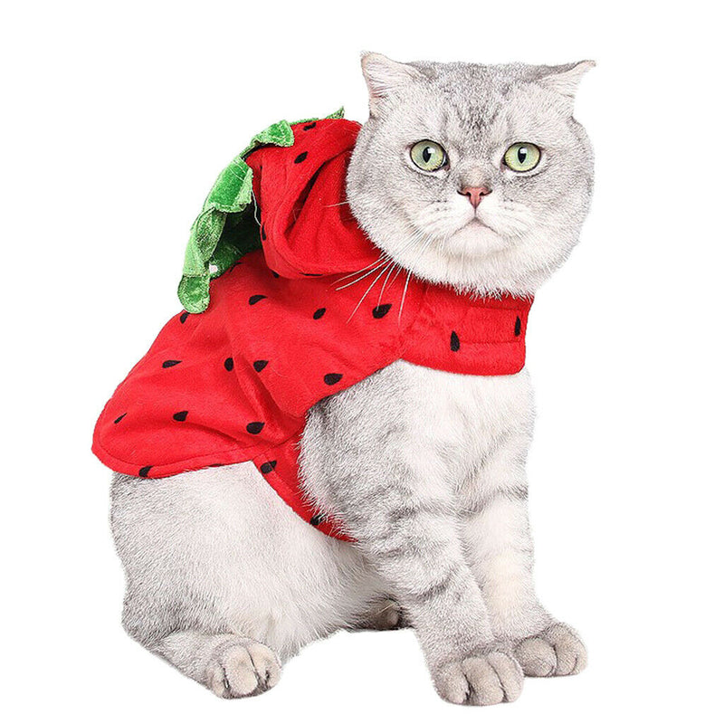 Kitty Cat Halloween Outfit Strawberry Costume Funny