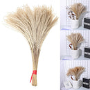 50Pcs Dried Flower Natural Phragmites Pampas Grass Wedding Bunch Bouquet Kit