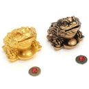 Chinese Feng Shui Money Lucky Fortune Wealth Toad Coin Home Decoration Home L7K6