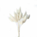 30 X Natural Rabbit Bunny Tail Grass Bouquets Wedding Dried Flowers 35-40cm