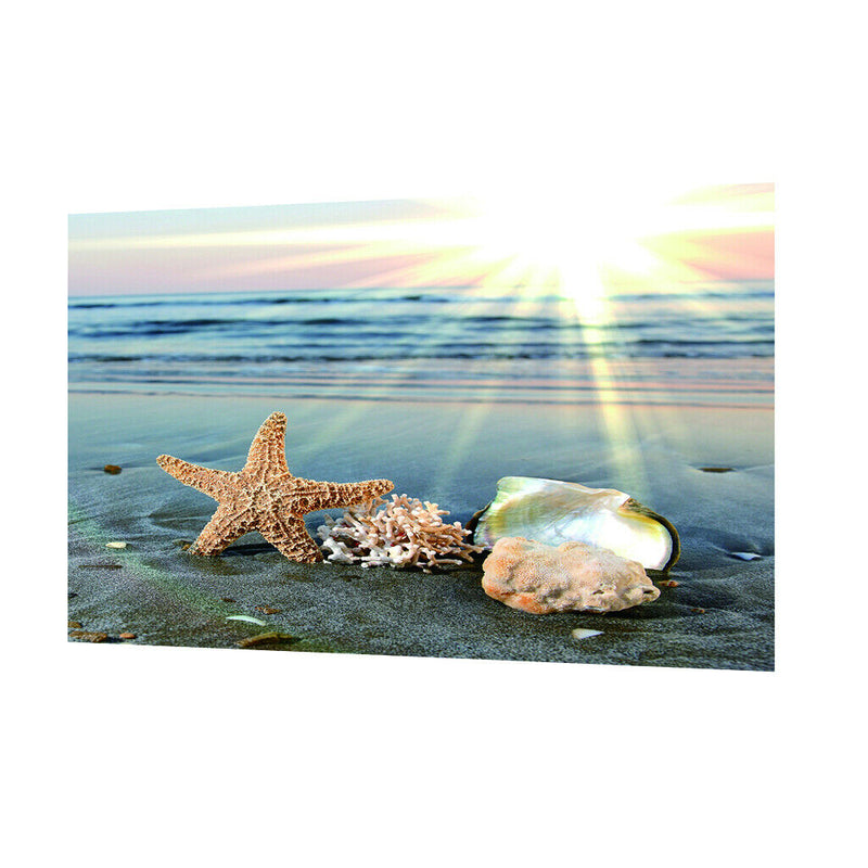 Under Sea Seabed World Backdrop Underwater Scene Colorful Aquarium Photography