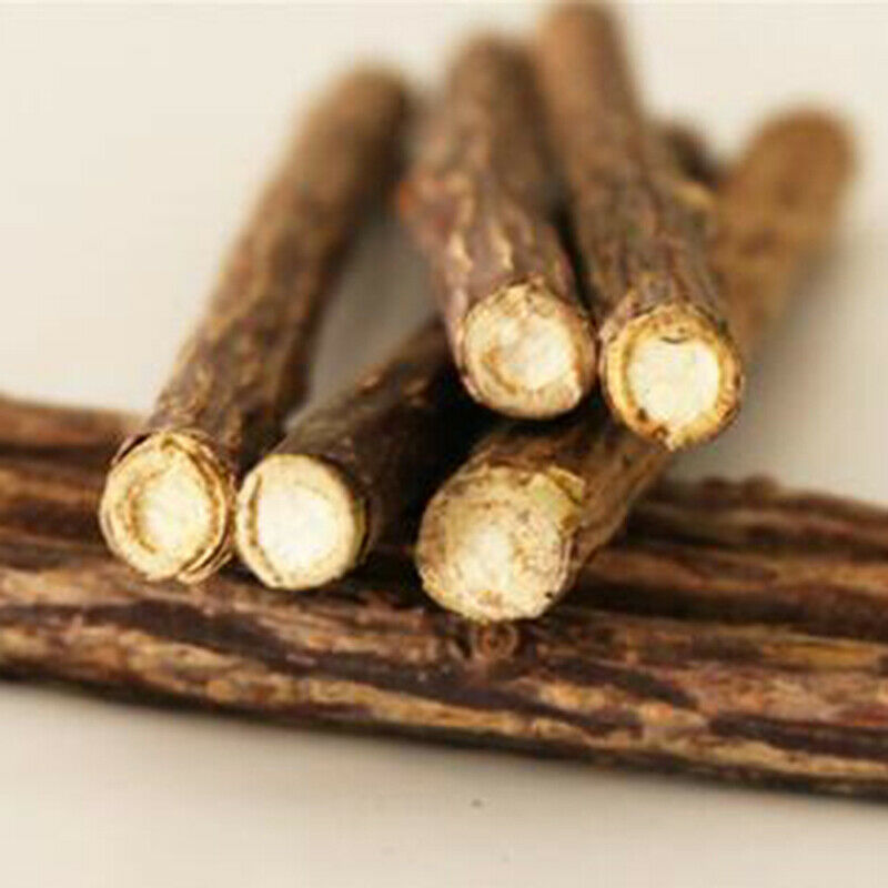 5x Cat cleaning teeth silvervine actinidia cat snacks sticks tooth care JR