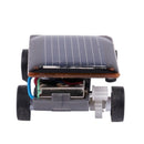 Solar Power Energy Frightened Grasshopper Insect Bug Locust
